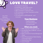 Load image into Gallery viewer, Interested in becoming a GO with HIPPO Travel Agent??
